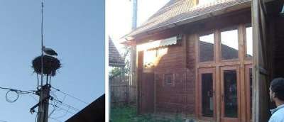 Szabó Csaba: Berzele şi secuii cu şurele lor revitalizate