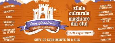 Vizeli Ibolya: „Zboară piatra mare, – unde s-a opri?” – Clujul şi Budapesta dau exemplu