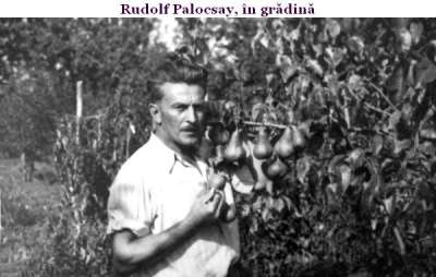 Bogdan Stanciu: Rudolf Palocsay, povestea din spatele numelui