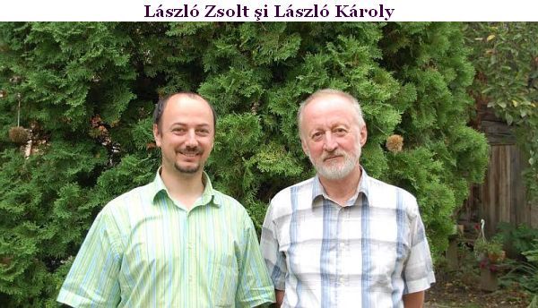 Dan Cella:Reliefuri din Târgu Secuiesc (2) - László Károly şi tunelul de timp al cahlelor