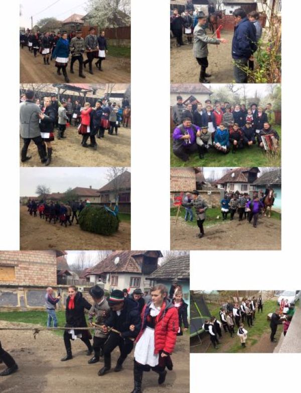 Jancsó E. Katalin: Sania de Paște trasă de udători, un obicei arhaic de fertilitate în Secuime