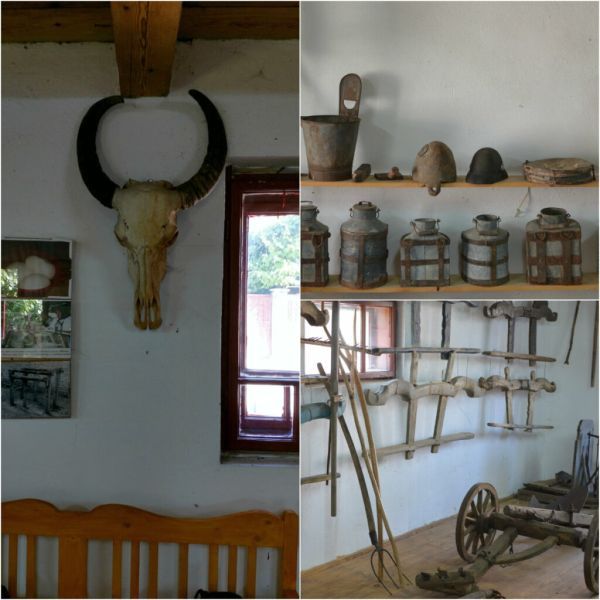 Szilágyi Szabolcs: Muzeul bivolului din satul Mera, jud. Cluj