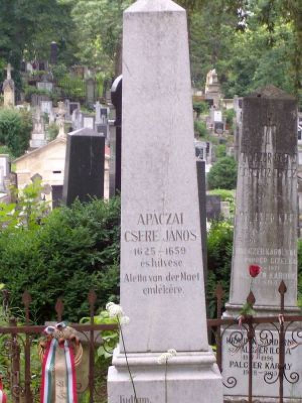 Marius Dobrin despre: Áprily Lajos – „Un nume căutam pe cruce spartă, Aletta van der Maet să apară